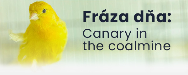 fraza dna - canary in the coalmine